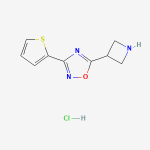 molecular formula C9H10ClN3OS B1524885 5-Azetidin-3-yl-3-(2-thienyl)-1,2,4-oxadiazole hydrochloride CAS No. 1286708-63-1