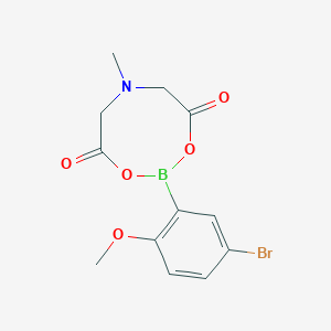 molecular formula C12H13BBrNO5 B1524922 2-(5-溴-2-甲氧基苯基)-6-甲基-1,3,6,2-二噁杂硼环-4,8-二酮 CAS No. 1287221-38-8