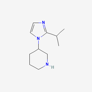 molecular formula C11H19N3 B1524992 3-[2-(丙-2-基)-1H-咪唑-1-基]哌啶 CAS No. 1249887-18-0