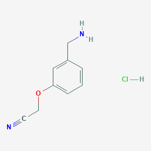 molecular formula C9H11ClN2O B1525101 Chlorhydrate de 2-[3-(aminométhyl)phénoxy]acétonitrile CAS No. 1306603-16-6