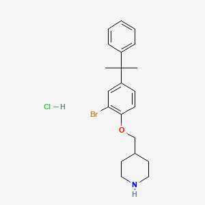 molecular formula C21H27BrClNO B1525154 4-{[2-Bromo-4-(1-methyl-1-phenylethyl)phenoxy]-methyl}piperidine hydrochloride CAS No. 1219971-81-9