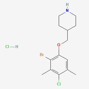 molecular formula C14H20BrCl2NO B1525180 4-[(2-Bromo-4-chloro-3,5-dimethylphenoxy)methyl]-piperidine hydrochloride CAS No. 1220032-68-7