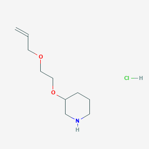 B1525243 3-[2-(Allyloxy)ethoxy]piperidine hydrochloride CAS No. 1220033-19-1