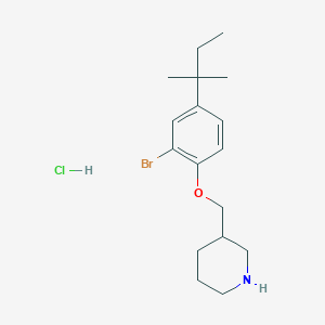 B1525245 3-{[2-Bromo-4-(tert-pentyl)phenoxy]-methyl}piperidine hydrochloride CAS No. 1220020-41-6