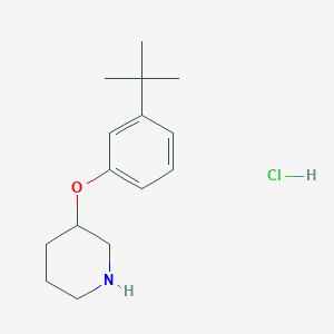 3-[3-(Tert-butyl)phenoxy]piperidine hydrochloride