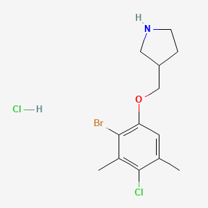 3-[(2-Bromo-4-chloro-3,5-dimethylphenoxy)methyl]-pyrrolidine hydrochloride