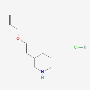 molecular formula C10H20ClNO B1525271 3-[2-(Allyloxy)ethyl]piperidine hydrochloride CAS No. 1220036-61-2
