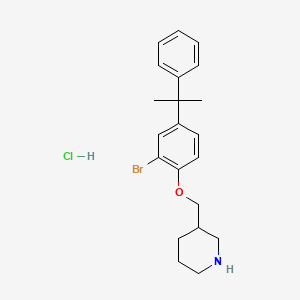 molecular formula C21H27BrClNO B1525272 3-{[2-Bromo-4-(1-methyl-1-phenylethyl)phenoxy]-methyl}piperidine hydrochloride CAS No. 1220035-30-2