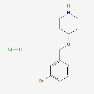 molecular formula C12H17BrClNO B1525282 4-[(3-Bromobenzyl)oxy]piperidine hydrochloride CAS No. 1219976-77-8