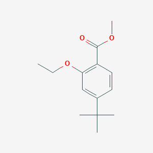 molecular formula C14H20O3 B1525328 4-叔丁基-2-乙氧基-苯甲酸甲酯 CAS No. 870007-39-9