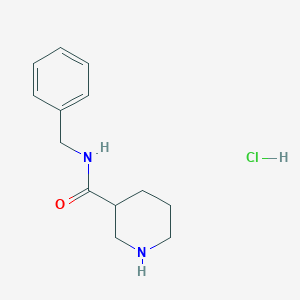 molecular formula C13H19ClN2O B1525354 N-Benzyl-3-piperidinecarboxamide hydrochloride CAS No. 668461-29-8