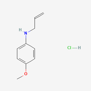 molecular formula C10H14ClNO B1525370 N-烯丙基-N-(4-甲氧苯基)胺盐酸盐 CAS No. 1228070-86-7