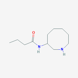 N-(Azocan-3-yl)butanamide