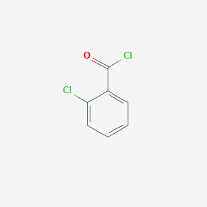 molecular formula C7H4Cl2O B152544 2-氯苯甲酰氯 CAS No. 609-65-4