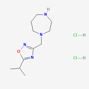 molecular formula C11H22Cl2N4O B1525512 1-{[5-(丙烷-2-基)-1,2,4-恶二唑-3-基]甲基}-1,4-二氮杂环戊烷二盐酸盐 CAS No. 1315368-78-5