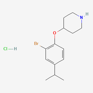 molecular formula C14H21BrClNO B1525617 4-(2-溴-4-异丙基苯氧基)哌啶盐酸盐 CAS No. 1220019-07-7