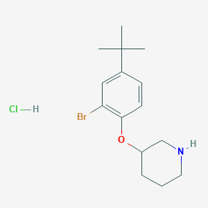 molecular formula C15H23BrClNO B1525618 3-[2-Bromo-4-(tert-butyl)phenoxy]piperidine hydrochloride CAS No. 1220019-29-3