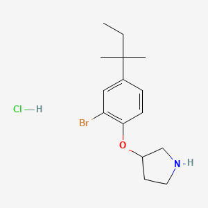 2-Bromo-4-(tert-pentyl)phenyl 3-pyrrolidinyl ether hydrochloride