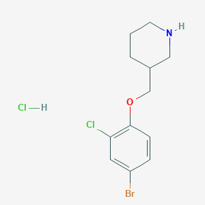 3-[(4-Bromo-2-chlorophenoxy)methyl]piperidine hydrochloride
