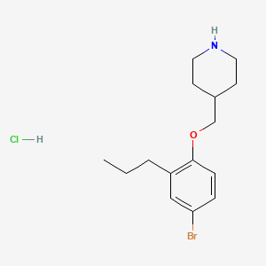 4-[(4-Bromo-2-propylphenoxy)methyl]piperidine hydrochloride