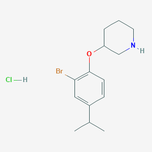 3-(2-Bromo-4-isopropylphenoxy)piperidine hydrochloride