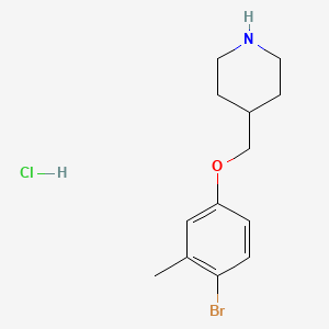 4-[(4-Bromo-3-methylphenoxy)methyl]piperidine hydrochloride