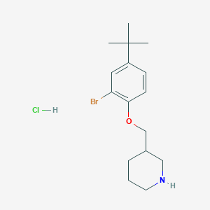 molecular formula C16H25BrClNO B1525634 2-溴-4-(叔丁基)苯基 3-哌啶基甲基醚盐酸盐 CAS No. 1220030-42-1