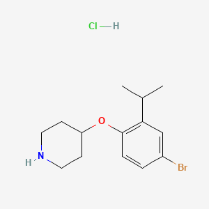 molecular formula C14H21BrClNO B1525636 4-(4-Bromo-2-isopropylphenoxy)piperidine hydrochloride CAS No. 1220032-72-3