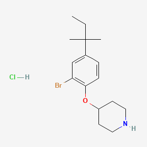 molecular formula C16H25BrClNO B1525637 2-Bromo-4-(tert-pentyl)phenyl 4-piperidinyl ether hydrochloride CAS No. 1220020-49-4