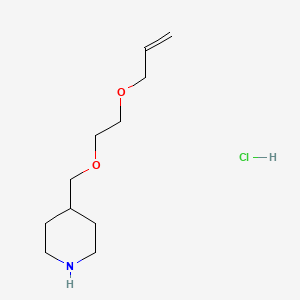 molecular formula C11H22ClNO2 B1525666 4-{[2-(烯丙氧基)乙氧基]甲基}哌啶盐酸盐 CAS No. 1220033-22-6