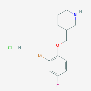 molecular formula C12H16BrClFNO B1525667 3-[(2-溴-4-氟苯氧基)甲基]哌啶盐酸盐 CAS No. 1219982-58-7