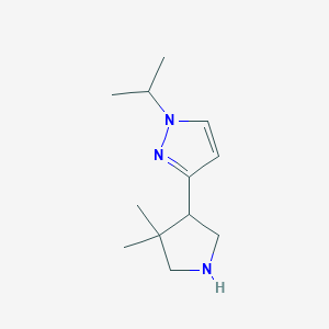 3-(4,4-Dimethylpyrrolidin-3-yl)-1-(propan-2-yl)-1H-pyrazole