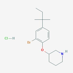 molecular formula C16H25BrClNO B1525674 2-Bromo-4-(tert-pentyl)phenyl 3-piperidinyl ether hydrochloride CAS No. 1220020-37-0