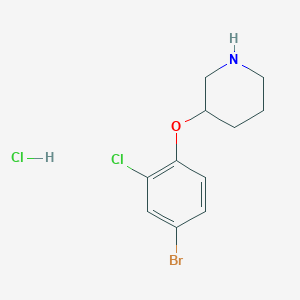 molecular formula C11H14BrCl2NO B1525688 3-(4-Bromo-2-chlorophenoxy)piperidine hydrochloride CAS No. 1220037-22-8