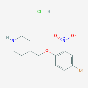 molecular formula C12H16BrClN2O3 B1525689 4-[(4-Bromo-2-nitrophenoxy)methyl]piperidine hydrochloride CAS No. 1220028-24-9