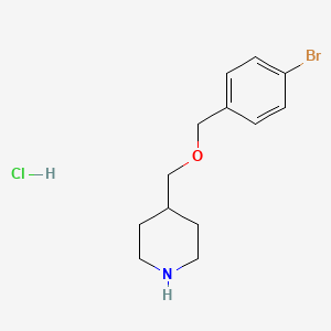 molecular formula C13H19BrClNO B1525691 4-{[(4-Bromobenzyl)oxy]methyl}piperidine hydrochloride CAS No. 1220034-86-5