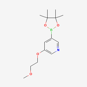 molecular formula C14H22BNO4 B1526070 3-(2-Methoxyethoxy)-5-(4,4,5,5-tetramethyl-1,3,2-dioxaborolan-2-yl)pyridine CAS No. 1010104-34-3