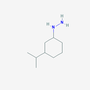 molecular formula C9H20N2 B15261224 [3-(Propan-2-yl)cyclohexyl]hydrazine 