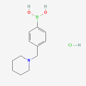 molecular formula C12H19BClNO2 B1526292 4-(哌啶-1-基甲基)苯硼酸盐盐酸盐 CAS No. 1301198-10-6