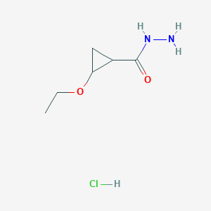 molecular formula C6H13ClN2O2 B15263100 2-Ethoxycyclopropane-1-carbohydrazide hydrochloride 