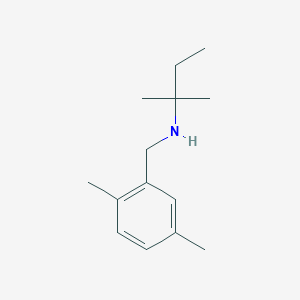 [(2,5-Dimethylphenyl)methyl](2-methylbutan-2-yl)amine