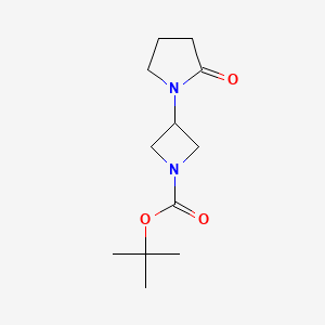 molecular formula C12H20N2O3 B1526701 Tert-butyl 3-(2-oxopyrrolidin-1-yl)azetidine-1-carboxylate CAS No. 1257294-07-7