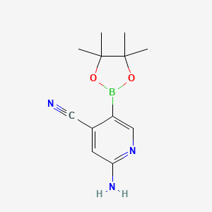 molecular formula C12H16BN3O2 B1526722 2-Amino-5-(4,4,5,5-tetramethyl-1,3,2-dioxaborolan-2-yl)isonicotinonitrile CAS No. 944401-73-4