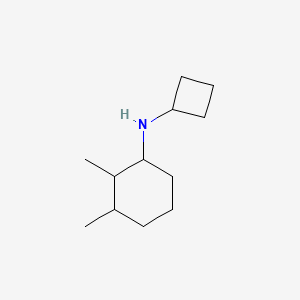 N-cyclobutyl-2,3-dimethylcyclohexan-1-amine