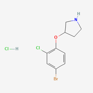 3-(4-Bromo-2-chlorophenoxy)pyrrolidine hydrochloride