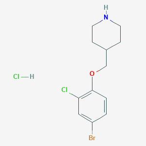 4-[(4-Bromo-2-chlorophenoxy)methyl]piperidine hydrochloride