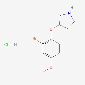 molecular formula C11H15BrClNO2 B1527185 3-(2-Bromo-4-methoxyphenoxy)pyrrolidine hydrochloride CAS No. 1220017-76-4