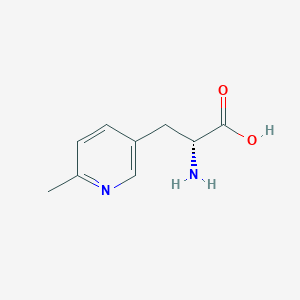 molecular formula C9H12N2O2 B15271943 (2R)-2-amino-3-(6-methylpyridin-3-yl)propanoic acid 