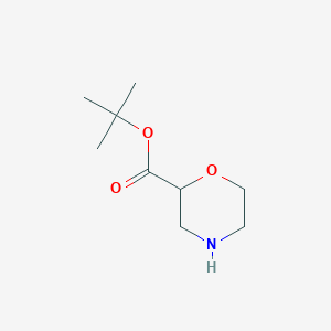 molecular formula C9H17NO3 B1527367 叔丁基吗啉-2-甲酸酯 CAS No. 1248936-60-8