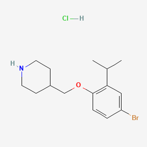 molecular formula C15H23BrClNO B1527389 4-[(4-Bromo-2-isopropylphenoxy)methyl]piperidine hydrochloride CAS No. 1219972-50-5
